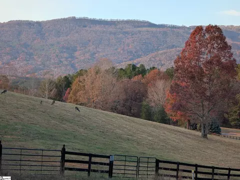 River Park Lane, Mill Spring, NC 28756 photo 3