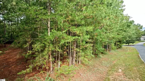 River Park Lane, Mill Spring, NC 28756 photo 5