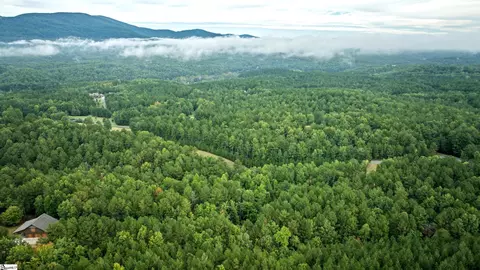 River Park Lane, Mill Spring, NC 28756 photo 27