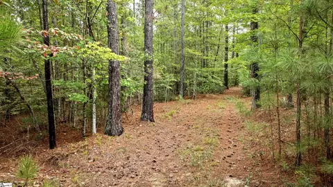 River Park Lane, Mill Spring, NC 28756 photo 7