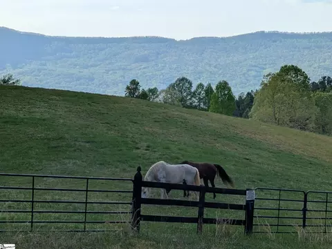 River Park Lane, Mill Spring, NC 28756 photo 4