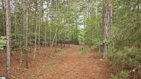 River Park Lane, Mill Spring, NC 28756 photo 18
