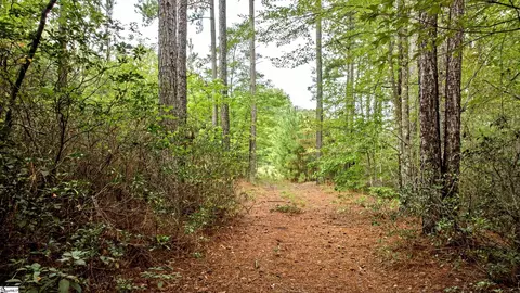 River Park Lane, Mill Spring, NC 28756 photo 15