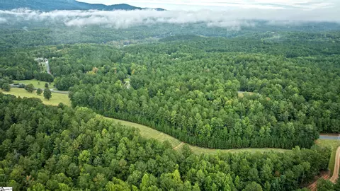 River Park Lane, Mill Spring, NC 28756 photo 26