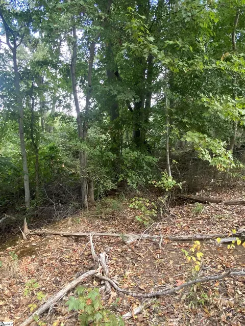 0 Burns Rd, Greer, SC 29651 photo 9