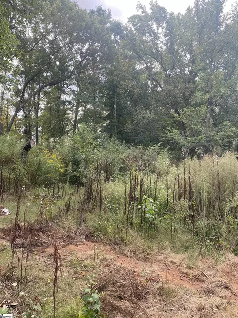 0 Burns Rd, Greer, SC 29651 photo 2