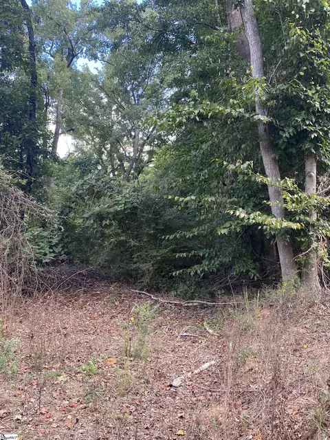 0 Burns Rd, Greer, SC 29651 photo 8