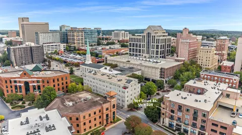 101 W Court St UNIT 225, Greenville, SC 29601