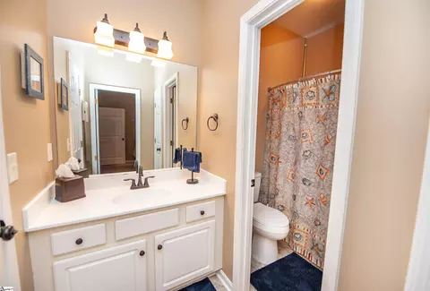 Bath - 341 Archway Dr, Moore, SC 29369 photo 3 of 3