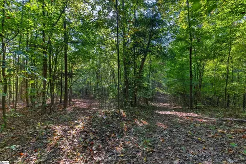 3880 Pennington Rd, Greer, SC 29651 photo 42