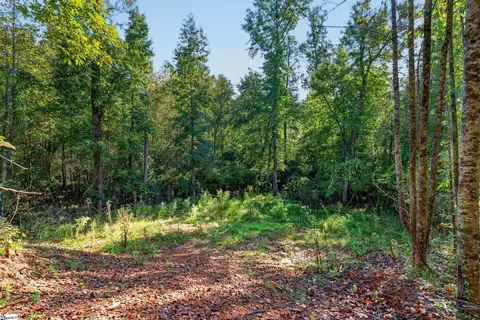 3880 Pennington Rd, Greer, SC 29651 photo 43