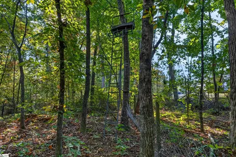 3880 Pennington Rd, Greer, SC 29651 photo 40