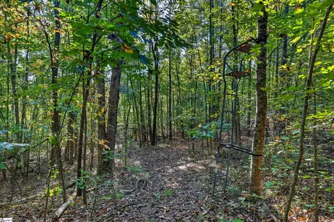 3880 Pennington Rd, Greer, SC 29651 photo 41