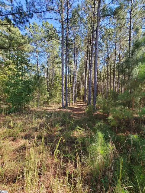 Other - 812 Tornado Rd, Honea Path, SC 29654 photo 20 of 21
