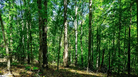 Undisclosed, Easley, SC 29640 photo 8