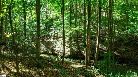 Undisclosed, Easley, SC 29640 photo 5