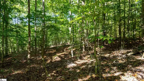 Undisclosed, Easley, SC 29640 photo 7