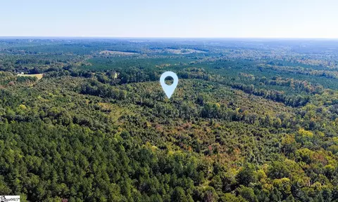 Blakely Road, Waterloo, SC 29384 photo 7