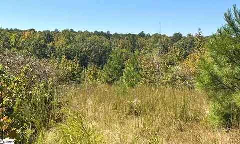 Blakely Road, Waterloo, SC 29384 photo 9