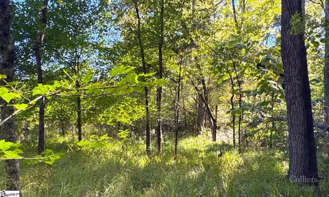 Blakely Road, Waterloo, SC 29384 photo 11