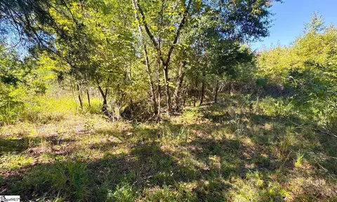 Blakely Road, Waterloo, SC 29384 photo 8