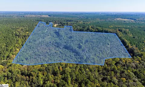 Blakely Road, Waterloo, SC 29384 photo 13