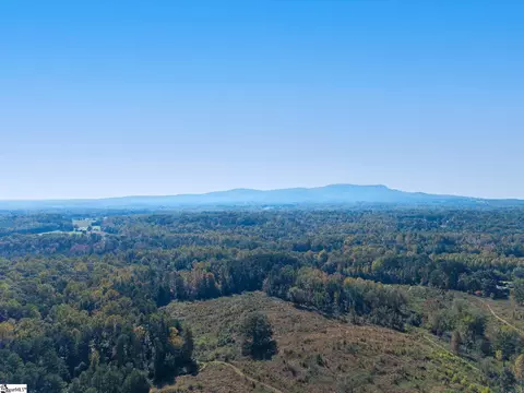 47 Mccauley Rd, Travelers Rest, SC 29690