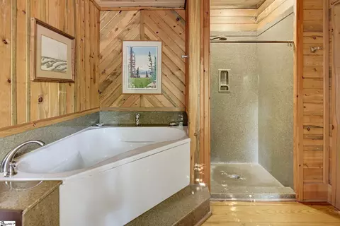 Bath - 156 Ebenezer Rd, Greer, SC 29651 photo 3 of 4