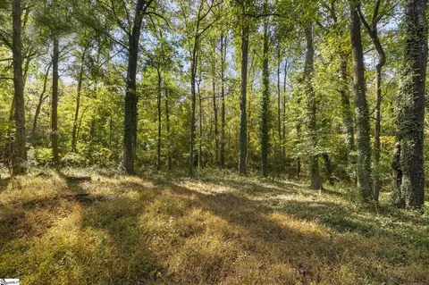 401 Old Jones Rd, Greer, SC 29651 photo 6