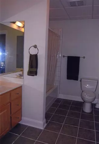 125 Bartram Trl, Central, SC 29630 photo 19