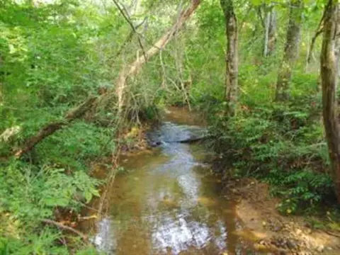 215 Bearcat Trl, Sunset, SC 29685 photo 25
