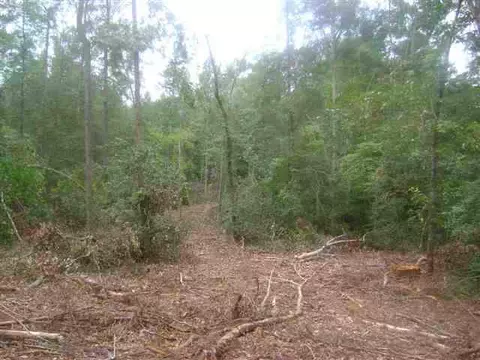 lot1 Off Stringer Rd, Belton, SC 29627 photo 8