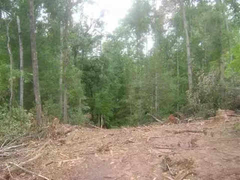 lot1 Off Stringer Rd, Belton, SC 29627 photo 9