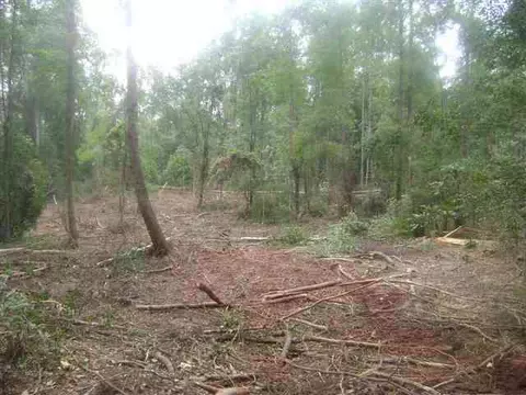 lot1 Off Stringer Rd, Belton, SC 29627 photo 4