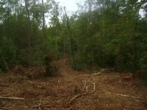 lot1 Off Stringer Rd, Belton, SC 29627 photo 10