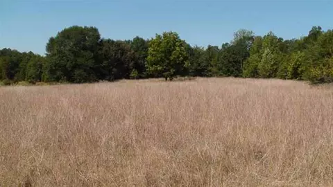 110 Riverview Acres, Honea Path, SC 29654 photo 19
