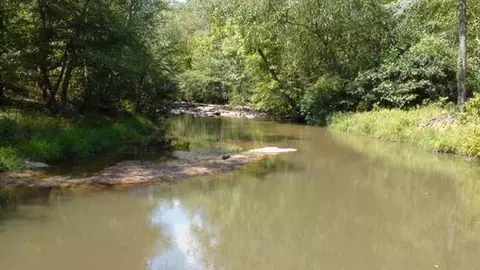 110 Riverview Acres, Honea Path, SC 29654 photo 18