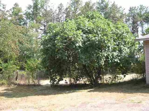 100 E Church Rd, Easley, SC 29642 photo 24