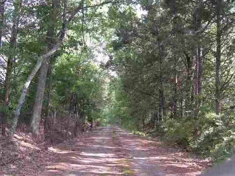 100 E Church Rd, Easley, SC 29642 photo 23