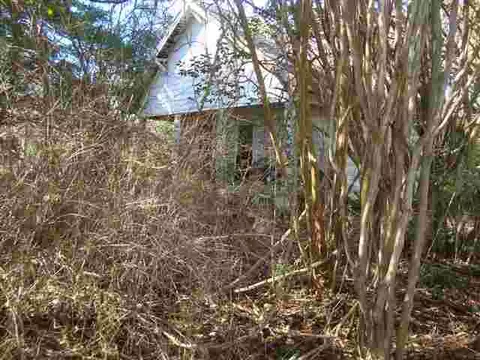 1129 Autun Rd, Pendleton, SC 29670 photo 5