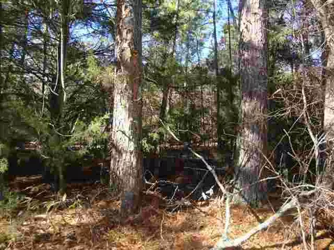 1129 Autun Rd, Pendleton, SC 29670 photo 11