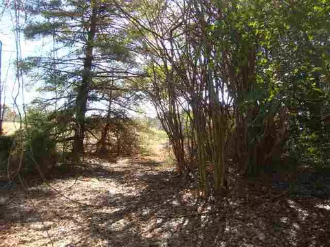 1129 Autun Rd, Pendleton, SC 29670 photo 9