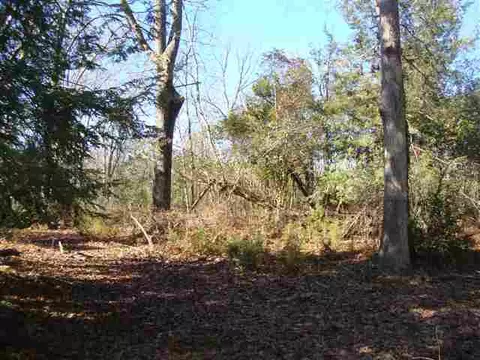 1129 Autun Rd, Pendleton, SC 29670 photo 7
