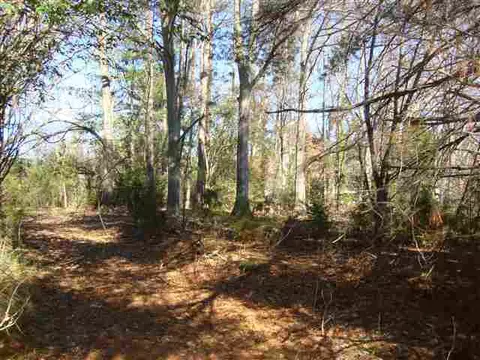 1129 Autun Rd, Pendleton, SC 29670 photo 4