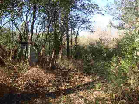 1129 Autun Rd, Pendleton, SC 29670 photo 8