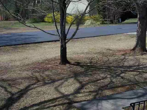 189 Daniel Dr, Easley, SC 29642 photo 21