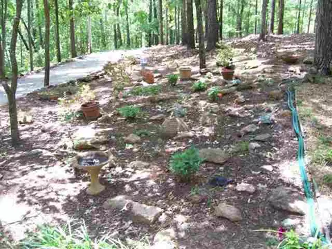 118 Todds Crk, Central, SC 29630 photo 5