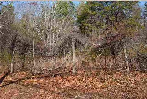 150 Bluebird Ln, Central, SC 29630 photo 8