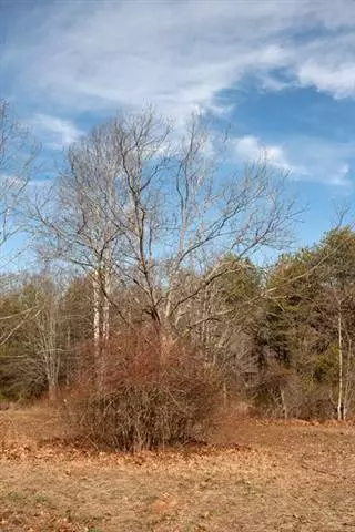 150 Bluebird Ln, Central, SC 29630 photo 6