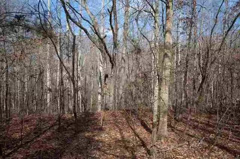 150 Bluebird Ln, Central, SC 29630 photo 5